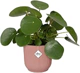 elho Vibes Fold Round 40 Large Plant Pot 100% Recycled Plastic Pink Ø39xH36 cm view 3