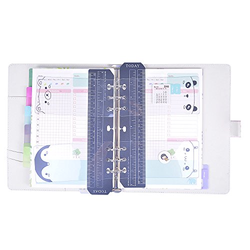 Rancco A6 Dividers Insertable Index Page Tab Cards, 14 Pcs Translucent Binder Classified Lables for Filofax Notebook/ Travel Diary Journal/ Planner(2 Set)