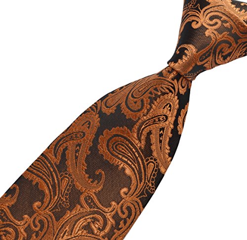 Pisces.goods New Classic Paisley JACQUARD WOVEN Men's Tie Necktie (Dark Brown)