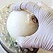 GREAT GLOVE 20015-L-BX Latex Industrial Grade Glove, 5 - 5.5 mil, Powder-Free, Textured, Natural Rubber Latex, Food Safe (FDA 21 CFR 170-199), Large, Natural