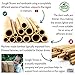 Jungle Straws® Bamboo Straws • Pack of 6 Reusable Drinking Straws Including Boba Straw for Bubble Tea • Storage Bag & Pouch • Zero Waste Natural Straws • Eco Friendly & Organic • Plastic Free • Green