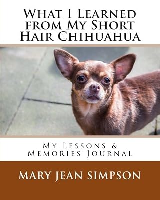 What I Learned From My Short Hair Chihuahua My Lessons Memories