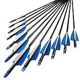 YONNEY Fiberglass Arrows 30-Inch Glass Fiber Arrows for Practice Hunting Outdoor (Pack of 12) for Traditional Recurve Bow ＆ Composite Bow Hunting Bow