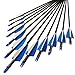YONNEY Fiberglass Arrows 30-Inch Glass Fiber Arrows for Practice Hunting Outdoor (Pack of 12) for Traditional Recurve Bow ＆ Composite Bow Hunting Bow - Blue