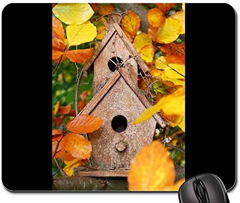 Amazon Com Mouse Pad Aviary Home Bird Feeder Colorful Color