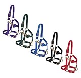 MINIATURE NYLON HALTER - AVERAGE SIZE