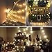 LED String Lights,33ft 100 Led Waterproof Ball Lights, Battery Powered Starry Fairy Globe String Lights with Remote Timer for Bedroom, Garden, Christmas Tree, Wedding, Party (Warm Light)