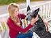 AtEase Accents Double Sided Dog Brush - for Long or Short Haired Dogs and Cats Natural Bamboo Eco Friendly Pet Grooming Dual Sided Pin and Bristles for Deshedding Hair