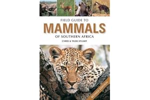 Field Guide to the Mammals of Southern Africa
