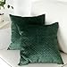 Artcest Set of 2, Decorative Velvet Bed Throw Pillow Case, Sofa Soft Quilted Pattern, Comfortable Couch Cushion Cover, 18