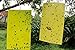 G2PLUS® 15x20cm Yellow Dual Sticky Fly Traps for Aphid Insects White Flies, Aphids, Fungus Gnats,Leaf Miners 10 PCS