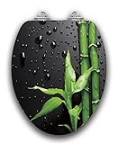 Topseat Art of Acryl Elongated Wood Toilet Seat with Slow Close Chromed Metal Hinges, Piano Black