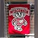 Wisconsin Badgers UW Garden Flag and Yard Banner