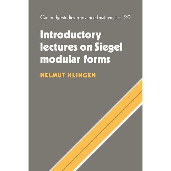 An Introduction to Invariants and Moduli (Cambridge Studies in