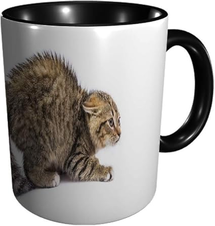 Amazon Co Jp 孤立したおびえた猫11区ディビジョンマグ ホーム キッチン