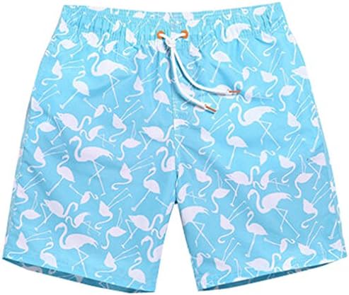 Wishwhat Men's Flamingos Summer Casual Board Shorts Swim Trunks (L, Blue)