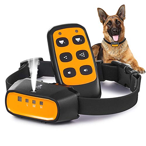 Top 10 Dog Bark Collars With Citronella of 2020 No Place Called Home