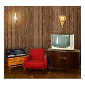 Vertical Brown Retro Wood Textured Paneling - Wall Mural, Removable Wallpaper, Home Decor - 66x96 inches