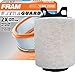 FRAM Extra Guard Engine Air Filter Replacement, Easy Install w/Advanced Engine Protection and Optimal Performance, CA9800 for Selected Seat and Volkswagen Vehicles