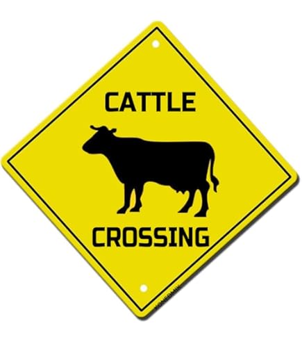 Funny Old Folks Crossing Aluminum Sign - 12x12 Inch Humorous Elderly Road Crossing Metal Decor