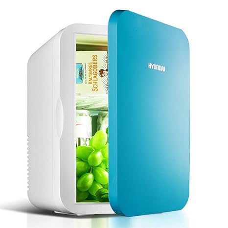 Nevera Eléctrica Portátil, Termoeléctrica, 6 litros, 12V/230V ...