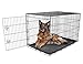 Carlson Pet Products Secure and Foldable Single Door Metal Dog Crate, Extra Large