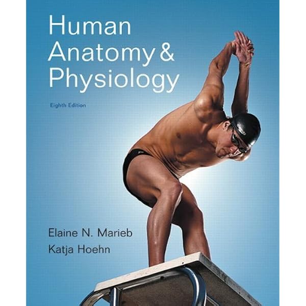 Human Anatomy & Physiology (text only) 8th (Eighth) edition by