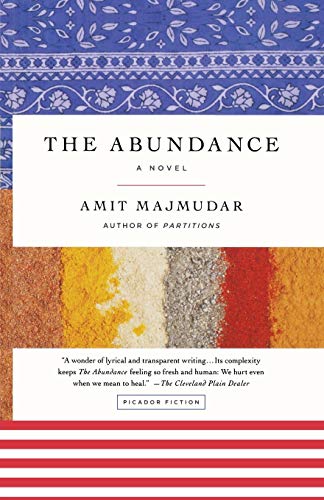 The Abundance: A Novel by Amit Majmudar
