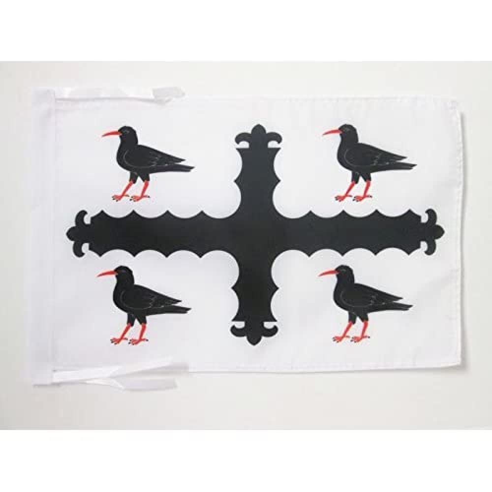 AZ FLAG - Flintshire county Flag - 18'' x 12'' - 100% Polyester Wales Flintshire county Small Banner with Two Cords - Fade Resistant - Vivid Colors - 18x12 in - 45x30 Cm