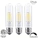 Dimmable 4W Tubular LED Bulb, Edison Style COB LED Filament Bulb, T10 nostalgic bulb, E26 Medium Base, 40 Watt Incandescent Bulb Equivalent, 2700K Warm White,400LM,Clear Glass Cover, 3-Pack