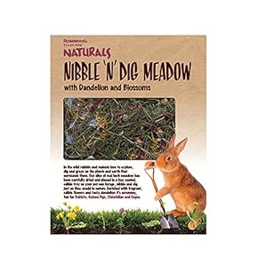 Rosewood Naturals Nibble 'n' Dig Meadow, Rabbit Treats & Small Animal Treats, 200g