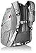 High Sierra Access Laptop Backpack, Greyt/Ash/Silver, 20 x 15 x 9.5-Inch