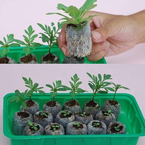 Tee Vee 35mm Garden Soil Peat Pellets for Seeds Germination Seeds Starting Direct Plant Seed Starters (50, 35mm)