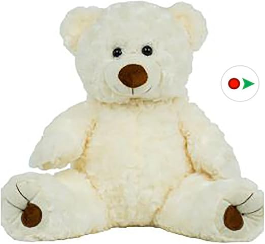 card factory teddies