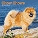 Chow Chows 2020 12 x 12 Inch Monthly Square Wall Calendar, Animals Dog Breeds by