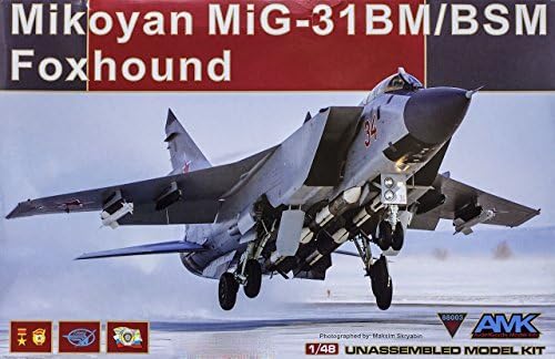 AMK AvantGarde Model Kits 1/48 MiG-31BM Foxhound #88003 by AMK AvantGarde Model Kits