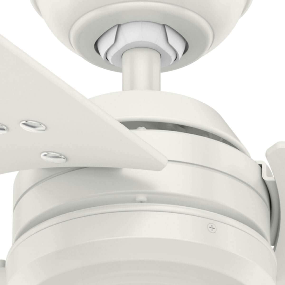 HUNTER FAN Ceiling Fan Protos 132 cm Indoor and Outdoor, and Wall control, Fresh White - Image 4