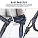 Forbidden Road Camping Hammock 400lbs Capacity Portable Hammock for Outside, Backyard, Travel, Backpacking, Beach