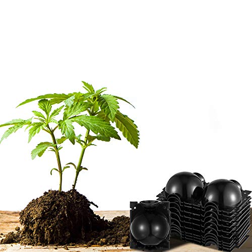 12 Pieces Plant Root Growing Box Root Grafting Ball Reusable High Pressure Propagation Ball Box