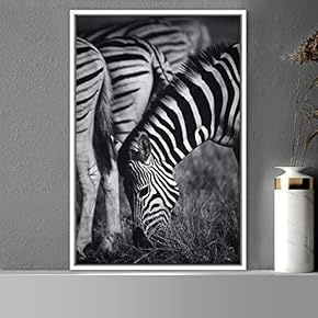 signwin Framed Canvas Wall Art Duotone Zebra Animals...