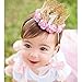 June Bloomy Baby Golden Lace Rose Flower Crown 1st Birthday Headband Princess Tiara (Pink)