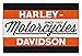 Harley-Davidson Racetag H-D Tufted Rug, 39 x 59 In, Black & Orange NW350878
