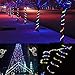 LE LED Rope Lights, 33 ft 240 LED, Low Voltage, Multi Colored, Waterproof, Connectable Clear Tube Indoor Outdoor Light Rope and String for Deck, Patio, Pool, Bedroom, Landscape Lighting and More