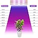 Grow Lights GLIME 24W 60LED Plant Light Strip 4in1 Flexible Soft Plant Grow Light Lamp with Adapter for Garden Greenhouse Pot Culture Hydroponics Indoor Plants 4 Lights Strips Kit Easy to Install