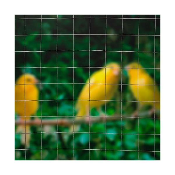 NATURE Quadratisches Netz, 0,5 x 2,5 m – Bild 3