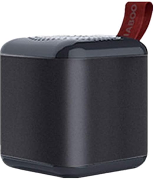 bluetooth speaker with carabiner