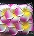 Anleolife Rose Hair Barrette Pretty Hawaiian Plumeria Flower Foam Red Flower Hair Clip 6pcs/lot (big purple)