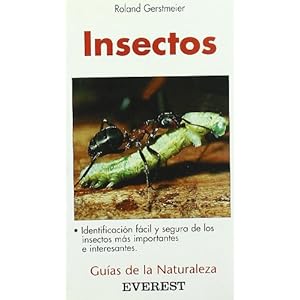 Insectos