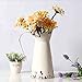 Watering Honey Elegant French Style Country Primitive Pitcher Flower Vase Watering Can Planters for Wedding Home Bar Decoration~Beige