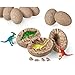 Jintao Dinosaur Toys, Dig it Up Dinosaur Egg - Novelty Chiseling 12 Dino Eggs and Discover 12 Unique Dinosaur Figures (Dino Egg 2)